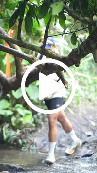 BIB:  <button type="button" onclick="openModal(27824375)" class="btn btn-primary btn-sm float-right" data-toggle="modal" data-target=".modal-high-quality">
                <i class="fa fa-download"></i> Download
                </button>